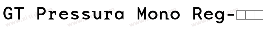 GT Pressura Mono Reg字体转换